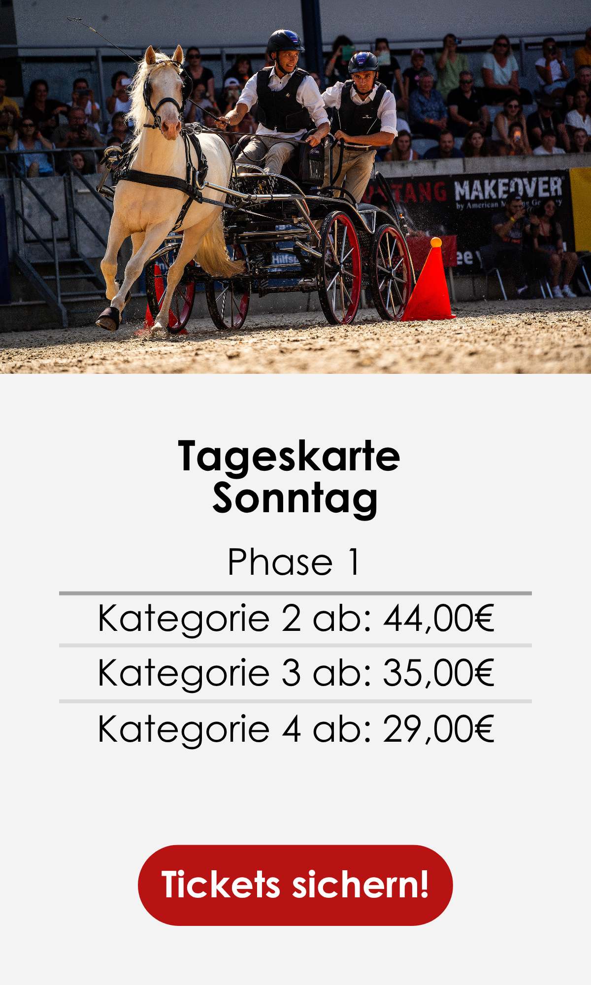 Tageskarte Samstag kaufen