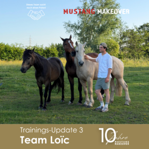 Loïc Update 3