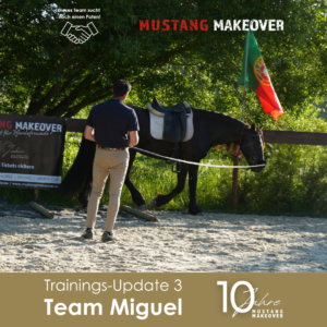 Miguel Update 3
