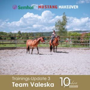 Valeska Update 3