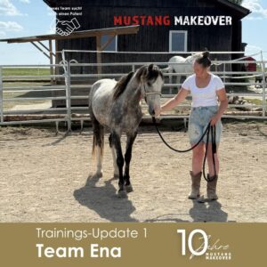 Ena Update 1