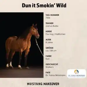 Endcard Steckbrief - Brinkmann _ Smokey