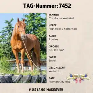 Endcard Steckbrief - Pullman _ Tag 7452