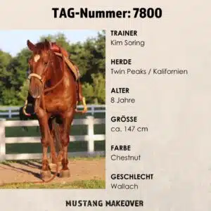 Endcard Steckbrief - TAG 7800