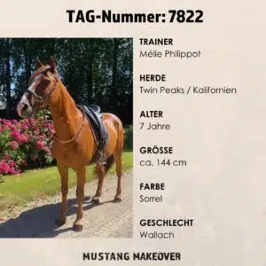 Endcard Steckbrief - TAG 7822