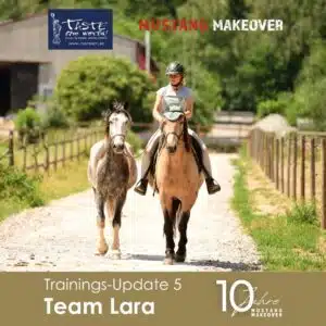 Lara Update 5