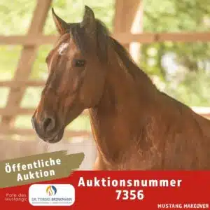 Startcard Mit Logo - Brinkmann _ Smokey