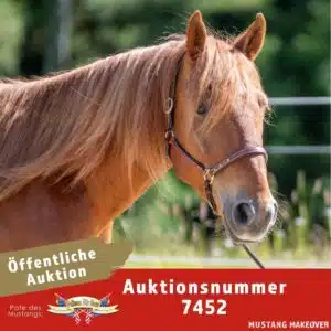 Startcard Mit Logo - Pullman _ Tag 7452
