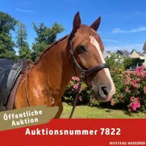 Startcard Mit Logo - TAG 7822