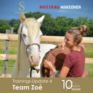 Zoé Update 4