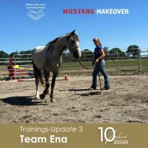 Ena Update 3