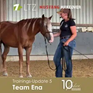 Ena Update 5