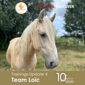 Loïc Update 4