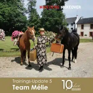 Melie Update 5