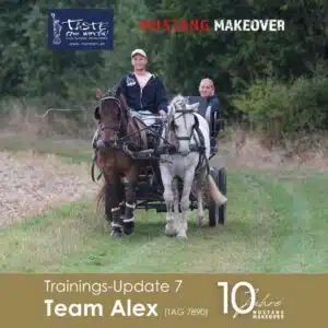 Alex 7890 Update 7