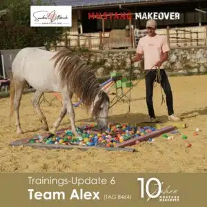 Alex 8464 Update 6