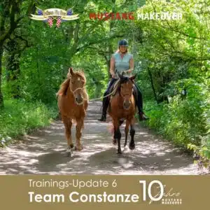 Constanze Update 6
