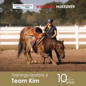 Kim Update 6