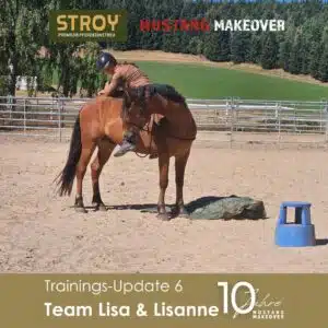 Lisanne Update 6