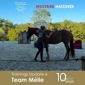 Melie Update 6