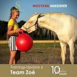 Zoé Update 6