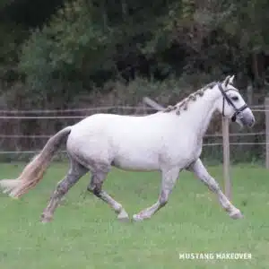 7 (2)