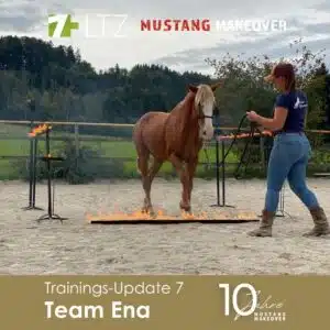 Ena Update 7