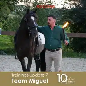 Miguel Update 7