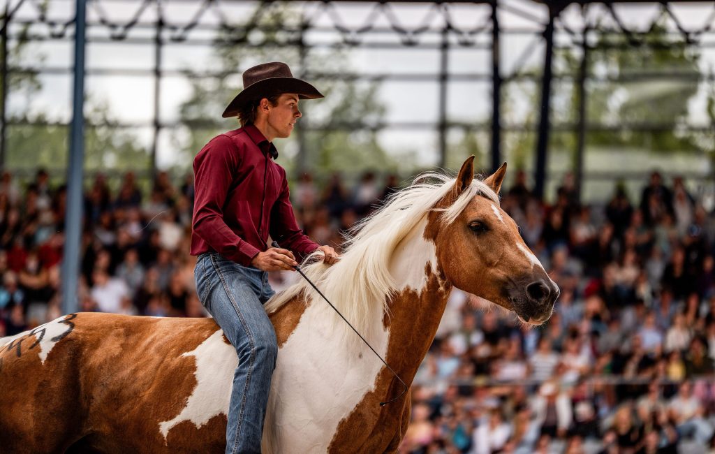 Marco Froese Finalshow 2025